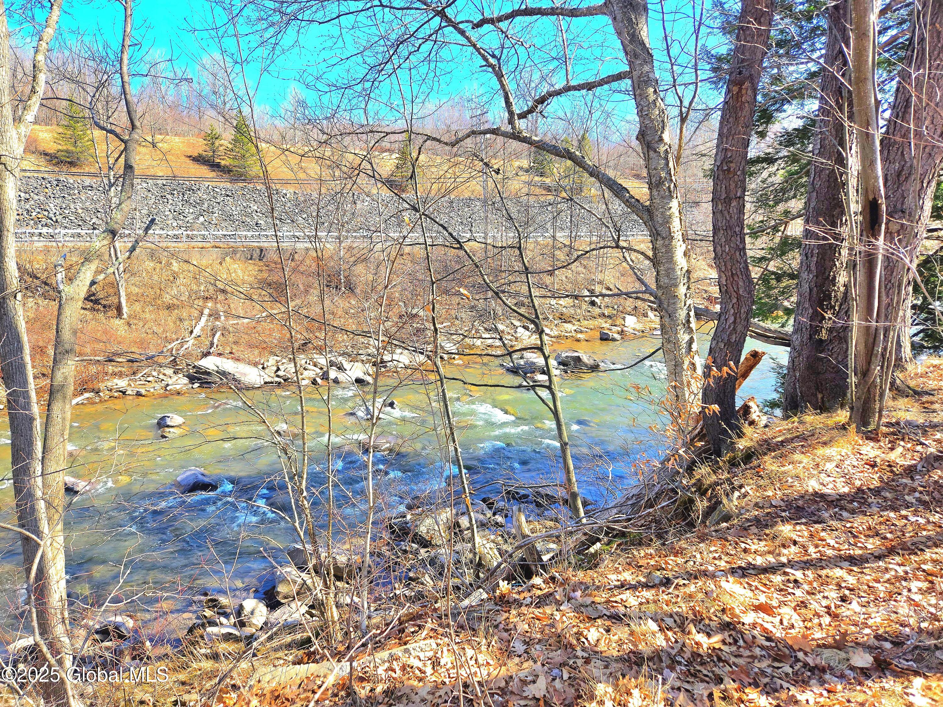 64 Maple Avenue Hunter, NY 12442 - Photo 11 of 29 20250319_114251