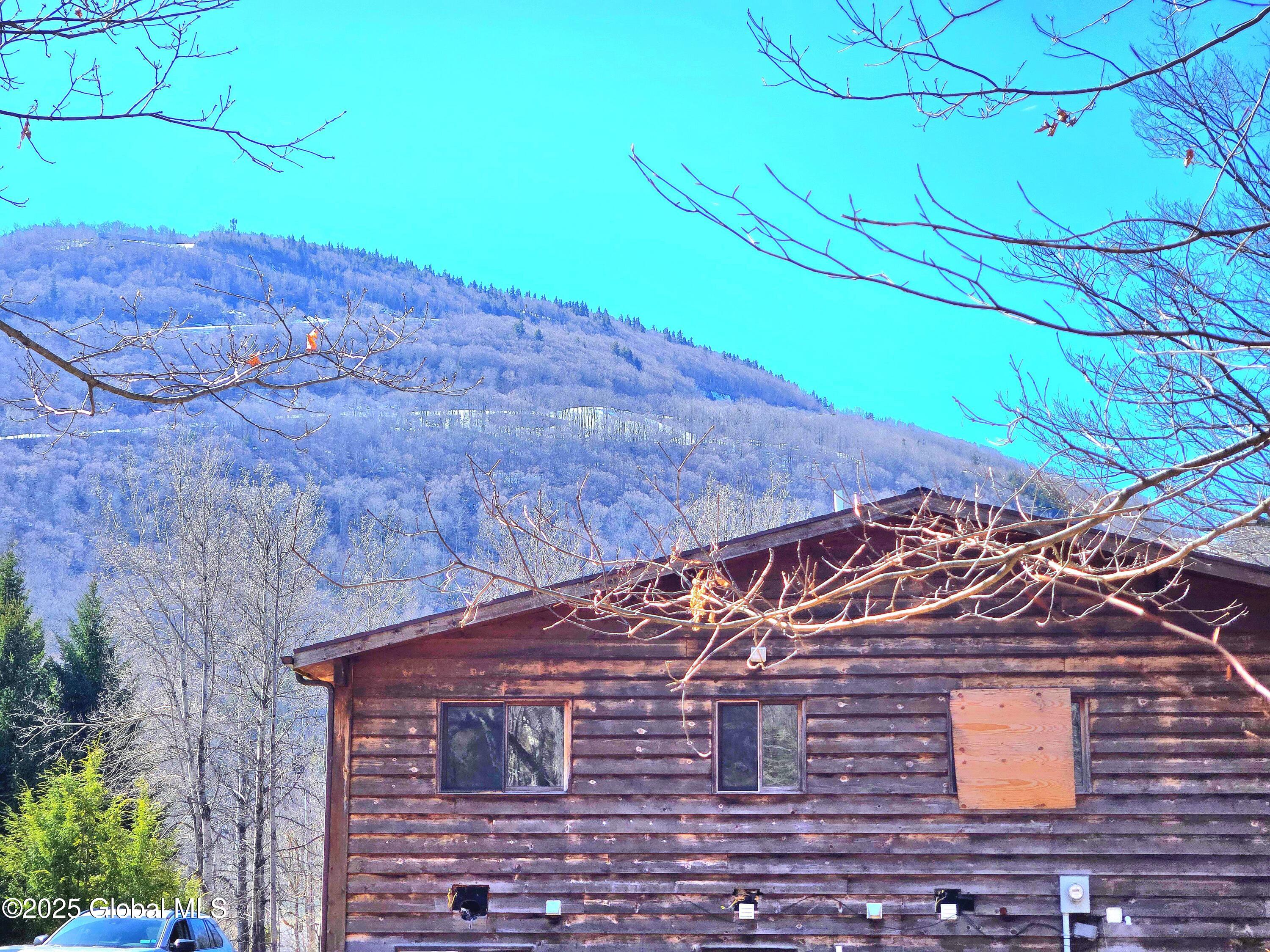 64 Maple Avenue Hunter, NY 12442 - Photo 7 of 29 20250319_114306