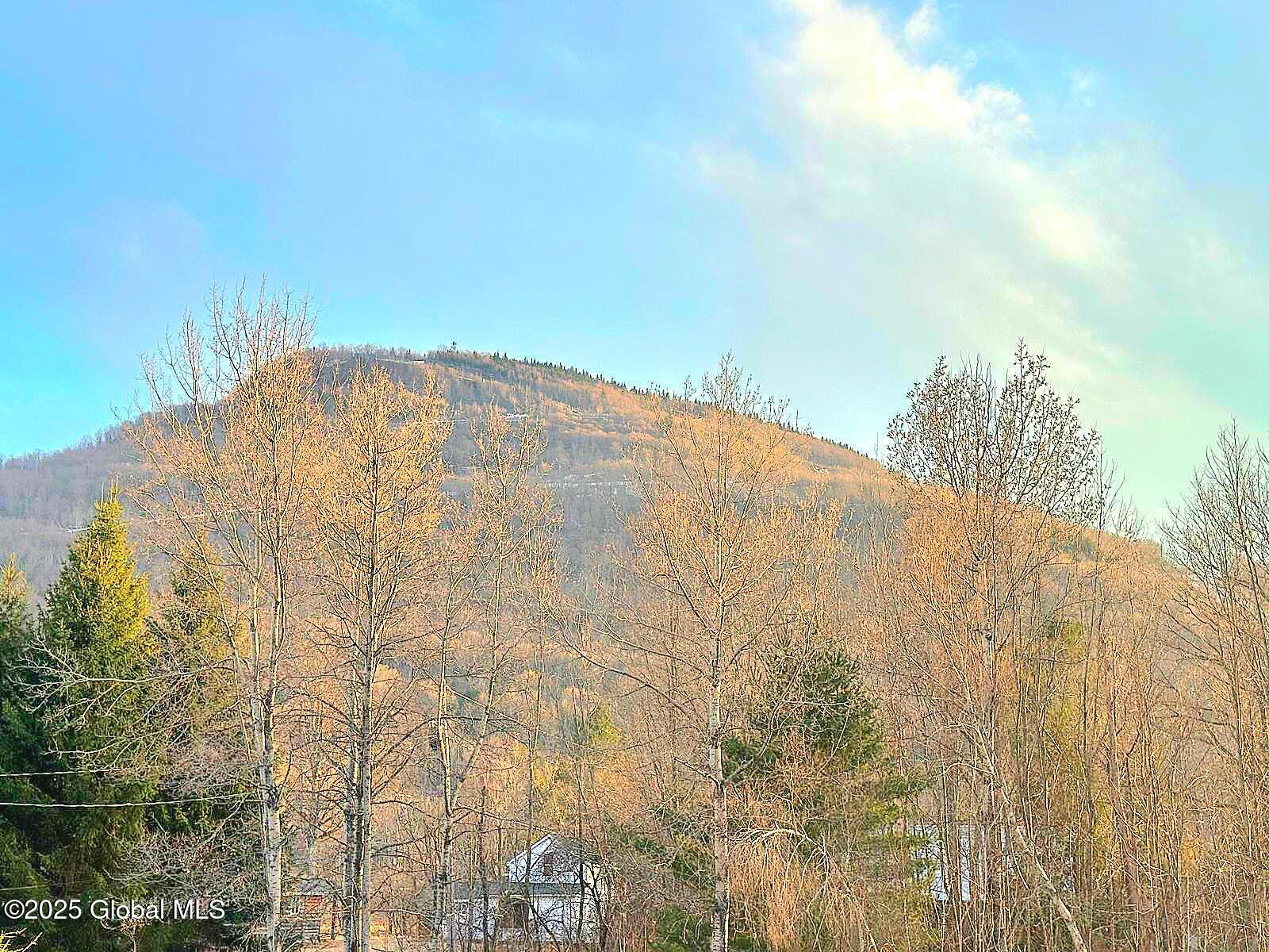 64 Maple Avenue Hunter, NY 12442 - Photo 8 of 29 IMG-20250320-WA0065