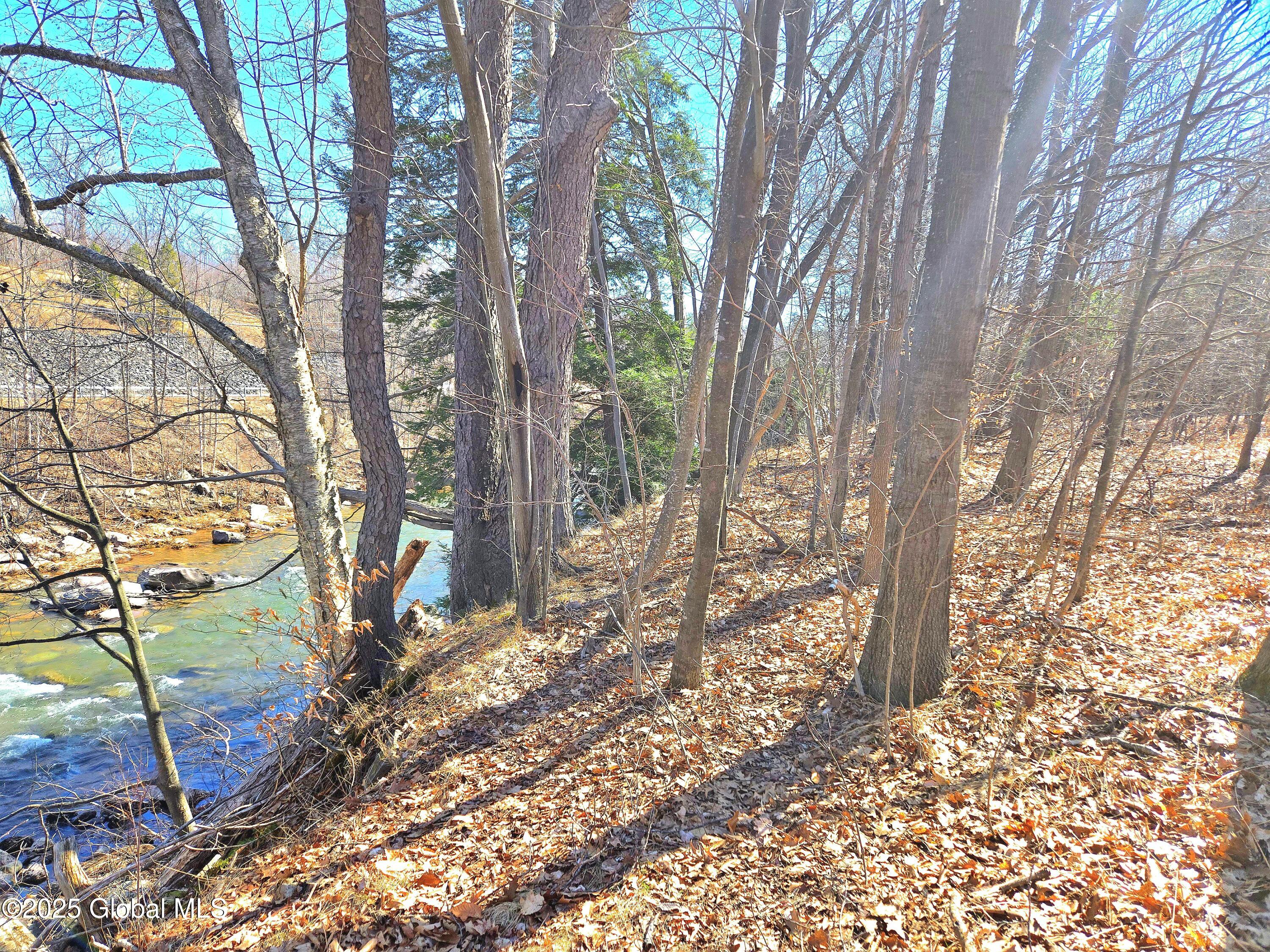 64 Maple Avenue Hunter, NY 12442 - Photo 10 of 29 20250319_114252