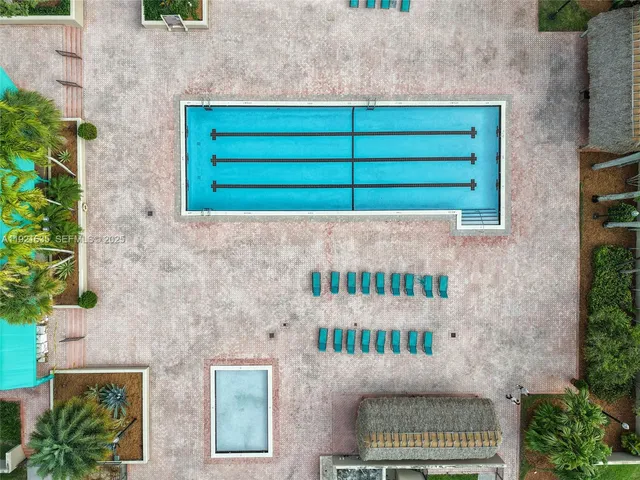 a view of garden with palm trees