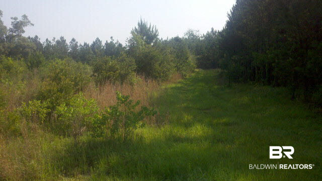 14050 Trawick Road Stapleton, AL 36578 - Photo 1 of 1