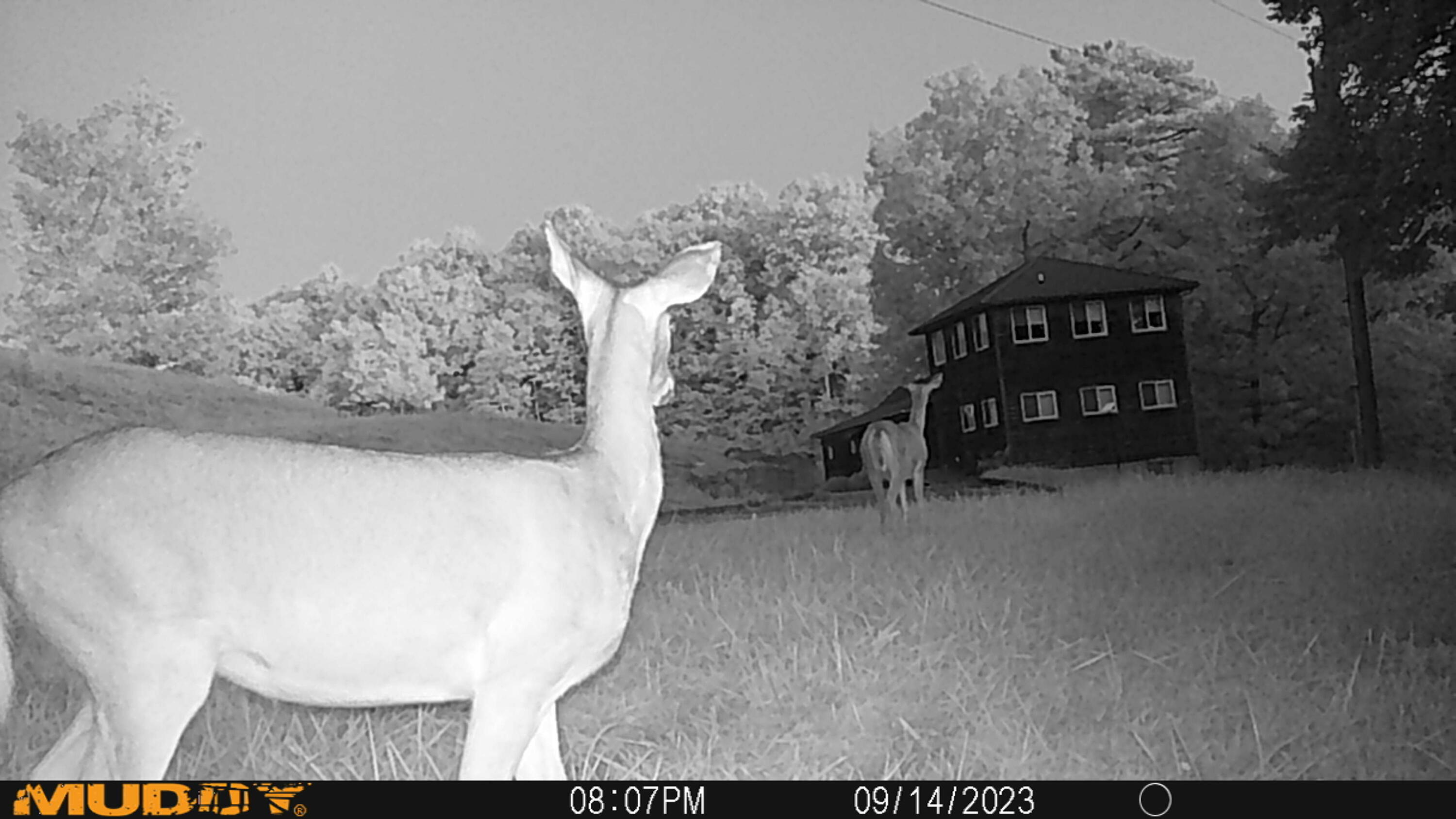 1214 Sears Road Somerset, KY 42501 - Photo 55 of 71 MUD_0413