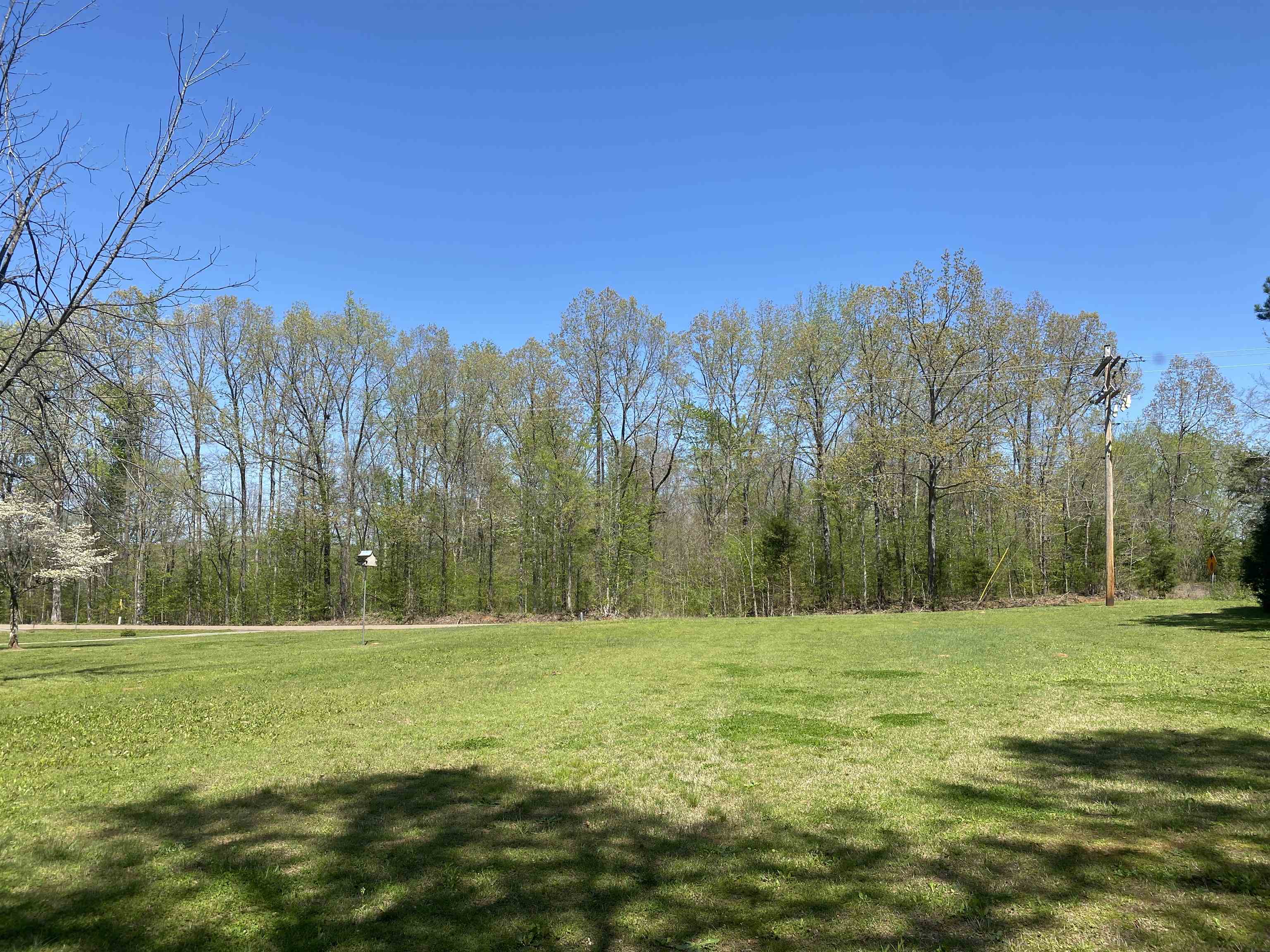 3120 Smoky Road Savannah, TN 38372 - Photo 34 of 38 Gallery Image 34