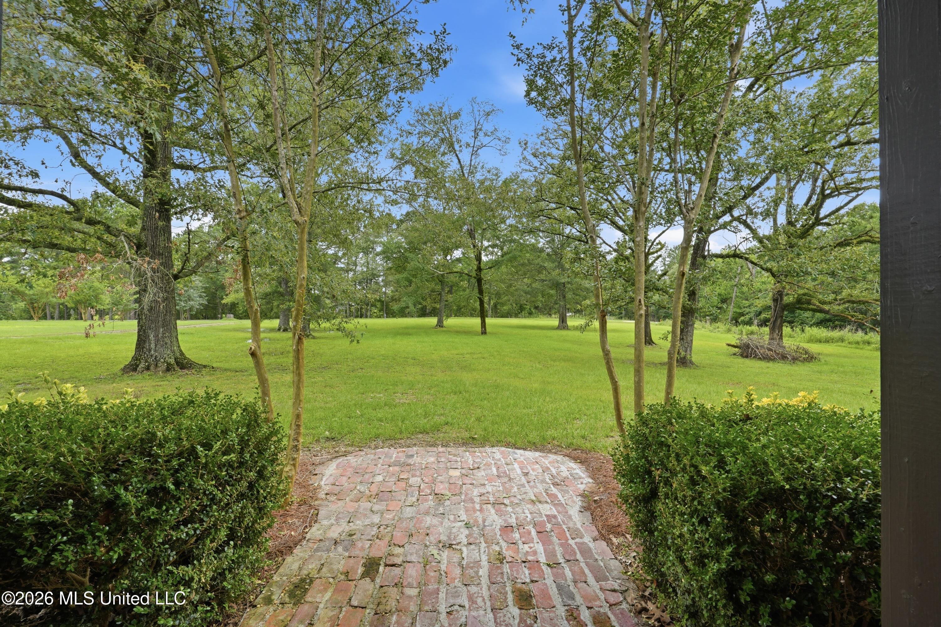 240 Mink Branch Road Morton, MS 39117 - Photo 5 of 29 240_Mink_Branch_Rd_038