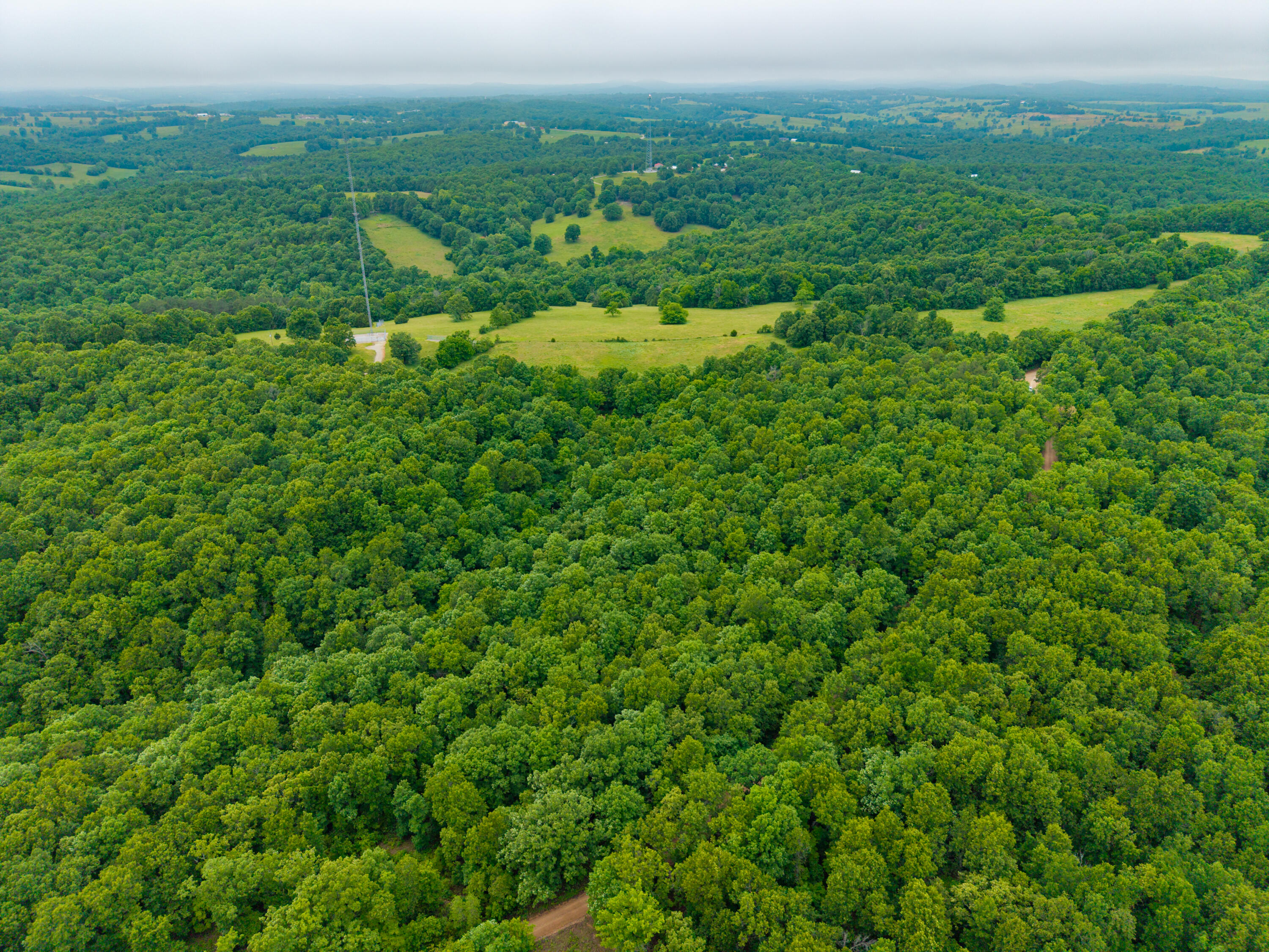 0 Co Road, Unit TRACT 3 Hardenville, MO 65666 - Photo 6 of 14 3 N 16 Hardenville-4