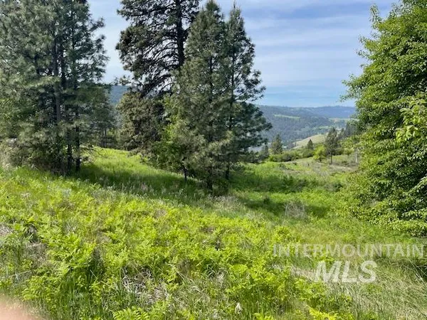 $129,900 | Tbd Sunnyside Bench Road, Lenore, ID 83541