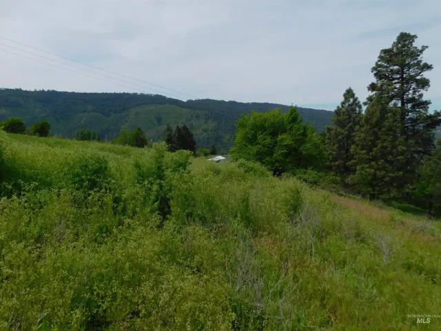 $129,900 | Tbd Sunnyside Bench Road, Lenore, ID 83541