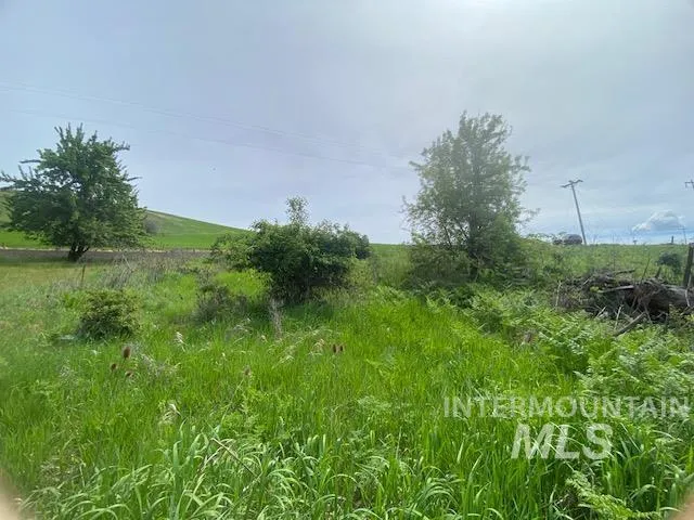 $129,900 | Tbd Sunnyside Bench Road, Lenore, ID 83541