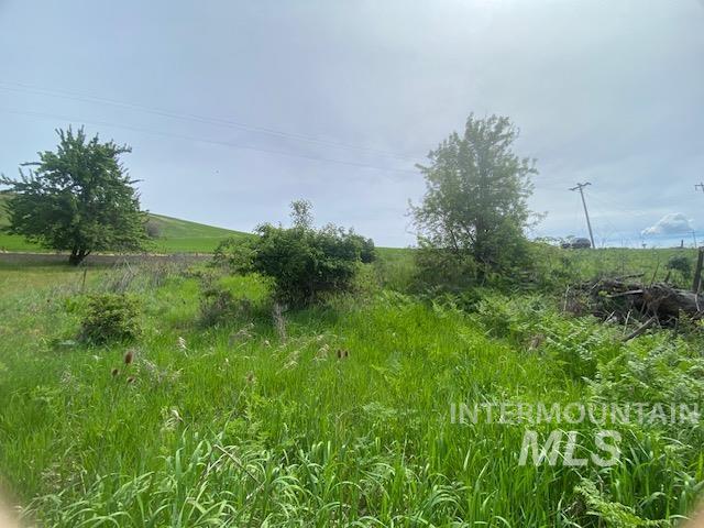 Tbd Sunnyside Bench Road Lenore, ID 83541 - Photo 2 of 11