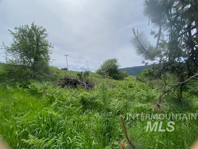 $129,900 | Tbd Sunnyside Bench Road, Lenore, ID 83541