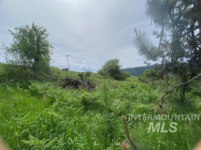 Tbd Sunnyside Bench Road Lenore, ID 83541 - Photo 3 of 11