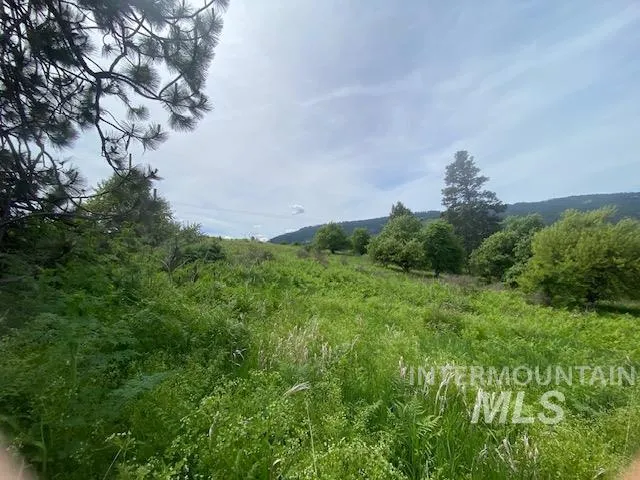 $129,900 | Tbd Sunnyside Bench Road, Lenore, ID 83541