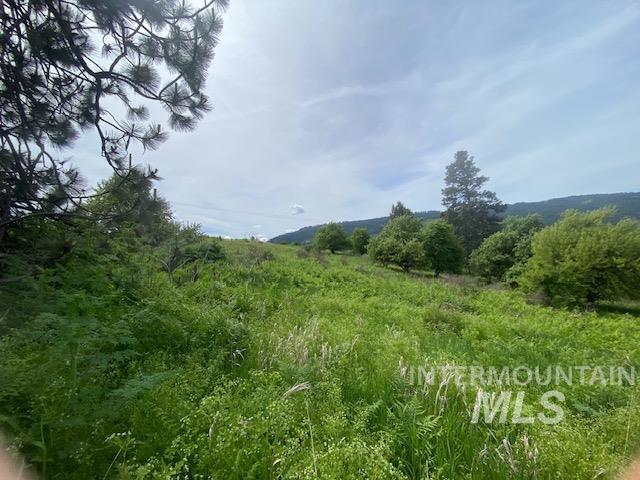 Tbd Sunnyside Bench Road Lenore, ID 83541 - Photo 4 of 11