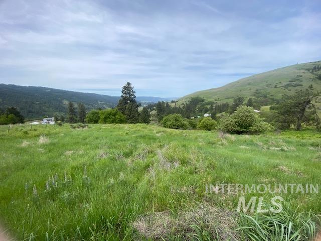 Tbd Sunnyside Bench Road Lenore, ID 83541 - Photo 5 of 11
