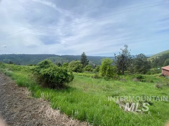 $129,900 | Tbd Sunnyside Bench Road, Lenore, ID 83541