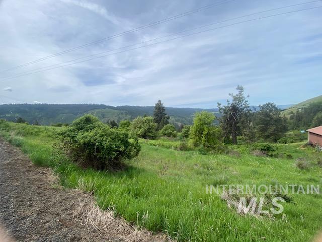 Tbd Sunnyside Bench Road Lenore, ID 83541 - Photo 6 of 11