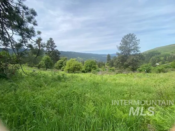 $129,900 | Tbd Sunnyside Bench Road, Lenore, ID 83541