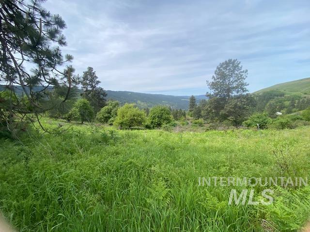 Tbd Sunnyside Bench Road Lenore, ID 83541 - Photo 7 of 11