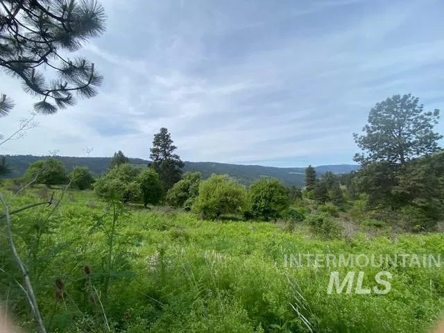 $129,900 | Tbd Sunnyside Bench Road, Lenore, ID 83541