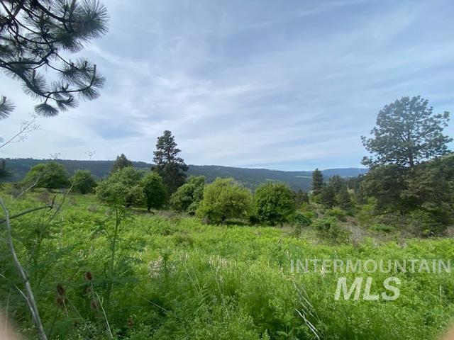 Tbd Sunnyside Bench Road Lenore, ID 83541 - Photo 8 of 11