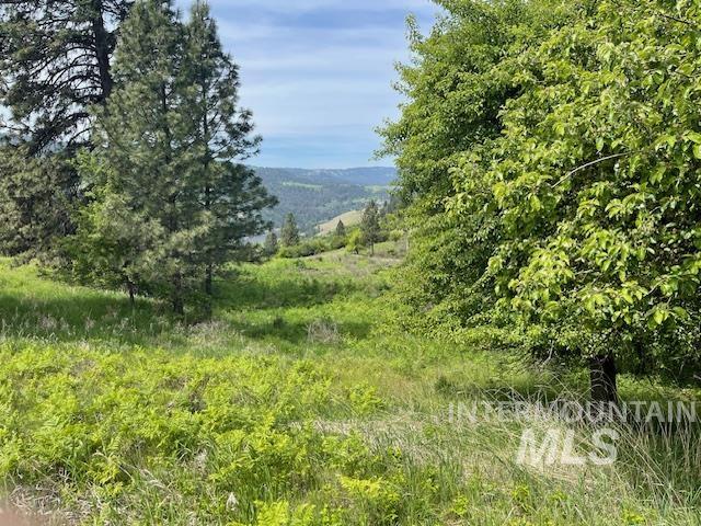 Tbd Sunnyside Bench Road Lenore, ID 83541 - Photo 9 of 11