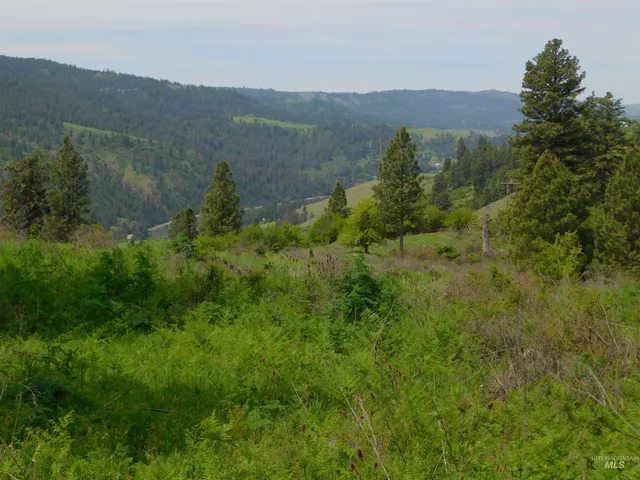 $129,900 | Tbd Sunnyside Bench Road, Lenore, ID 83541