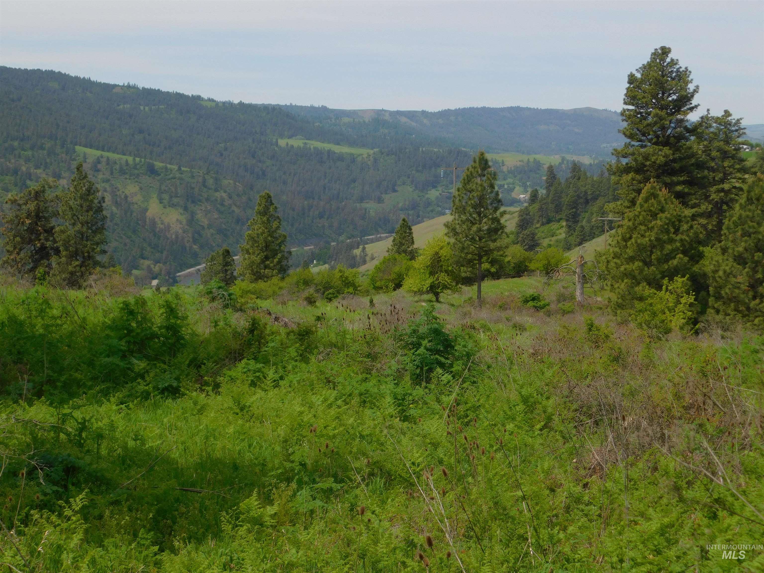Tbd Sunnyside Bench Road Lenore, ID 83541 - Photo 10 of 11