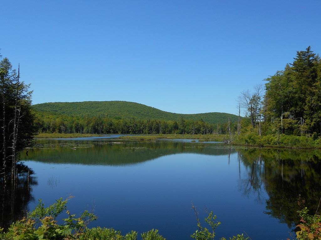 M9-l14 Drake Pond Road Jackson, ME 04921 - Photo 1 of 16 Dixmont Mtn