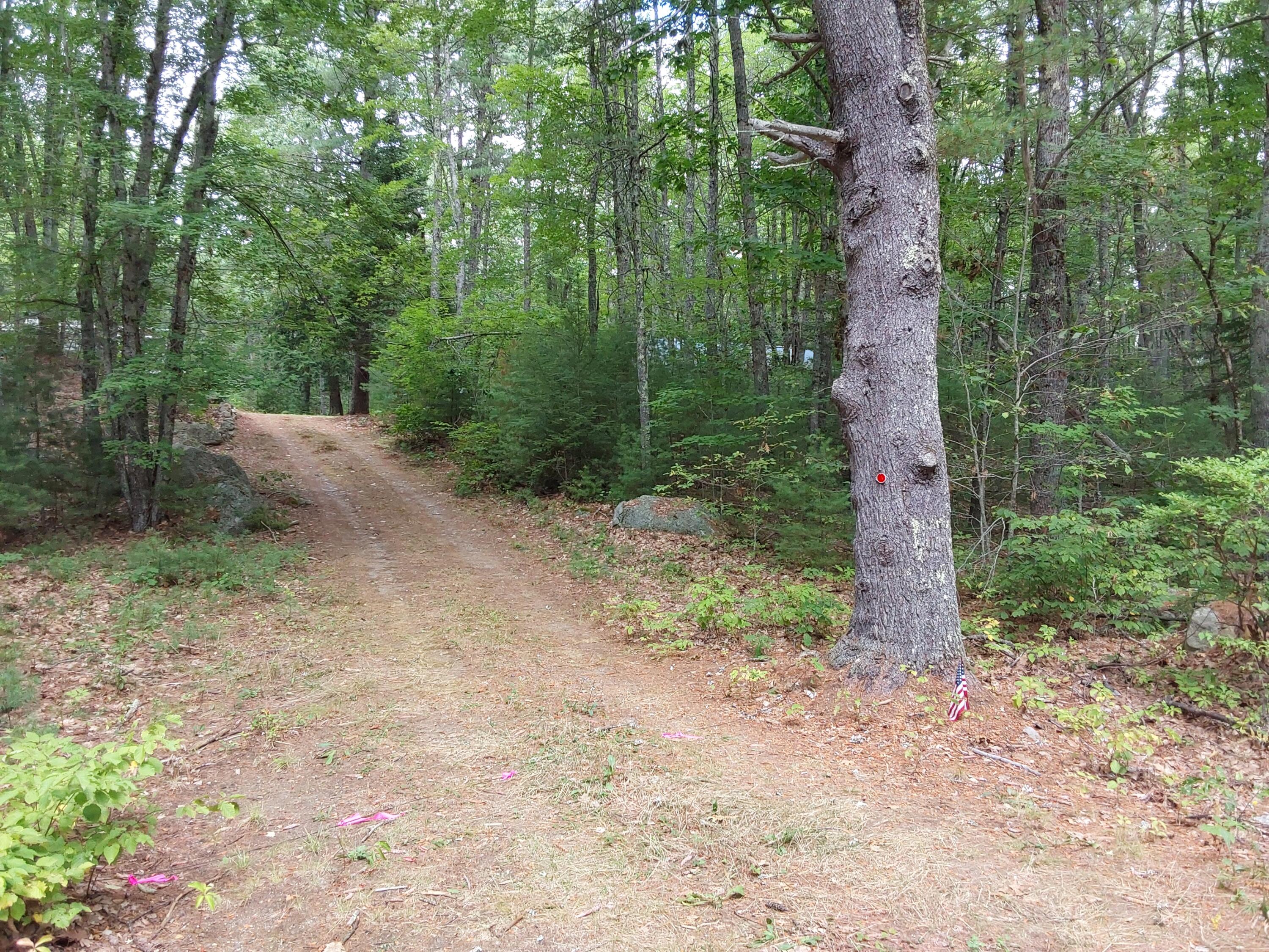 Lot 34 North Mountain Road Jefferson, ME 04348 - Photo 1 of 3 1000006050