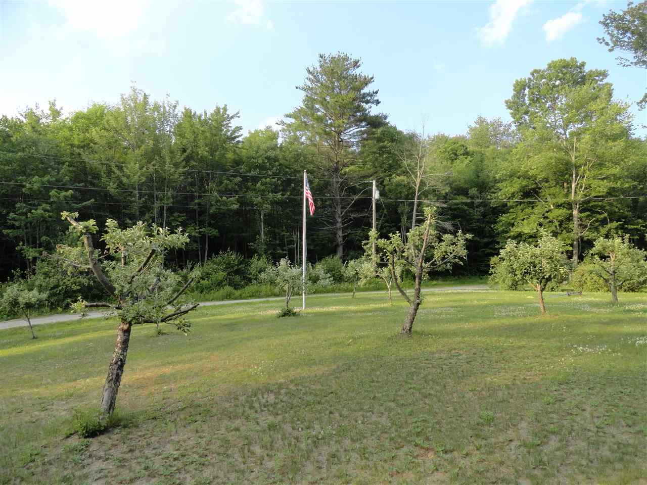 16 Reed Hill Road Danbury, NH 03230 - Photo 25 of 40