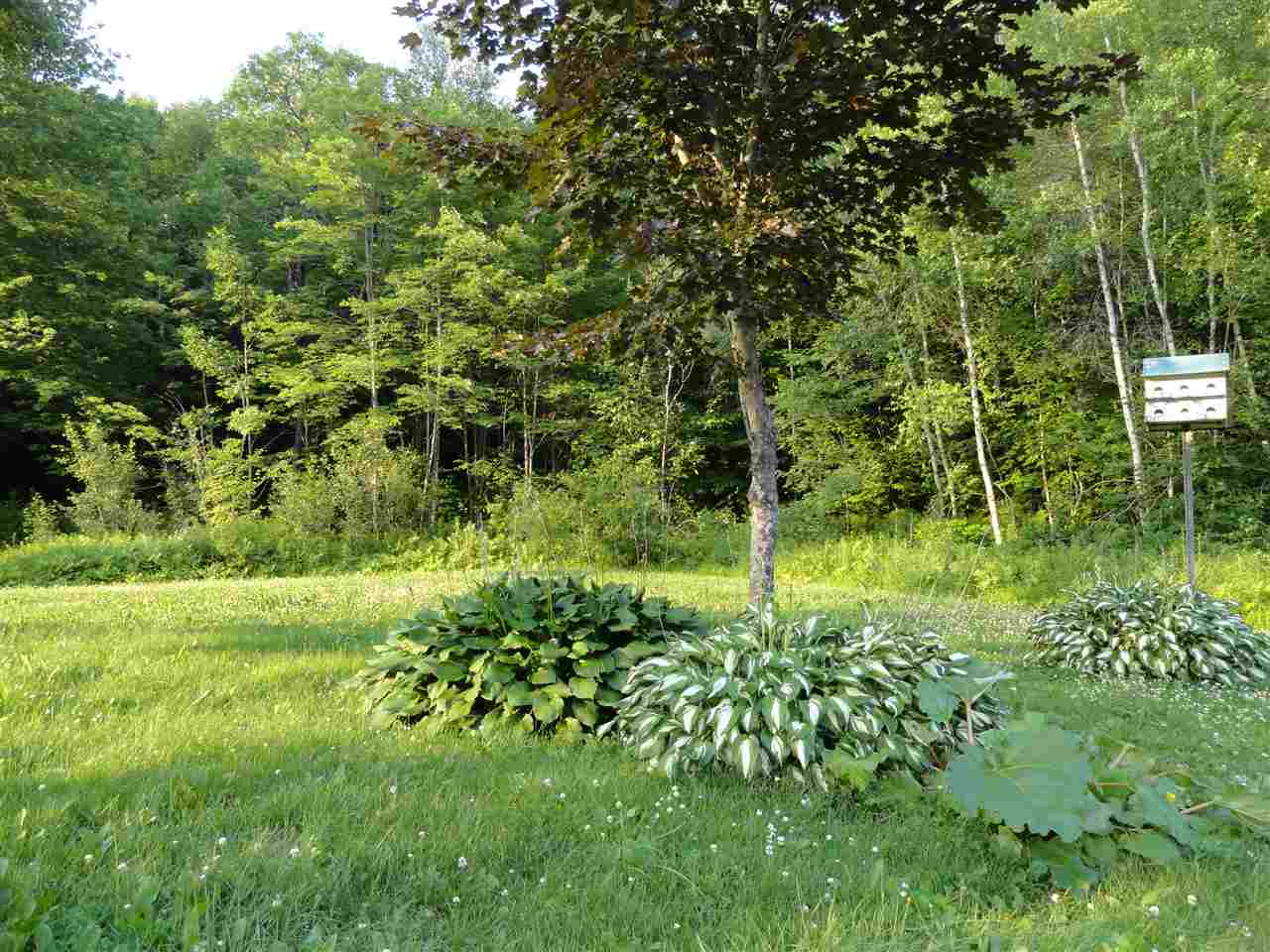 16 Reed Hill Road Danbury, NH 03230 - Photo 36 of 40