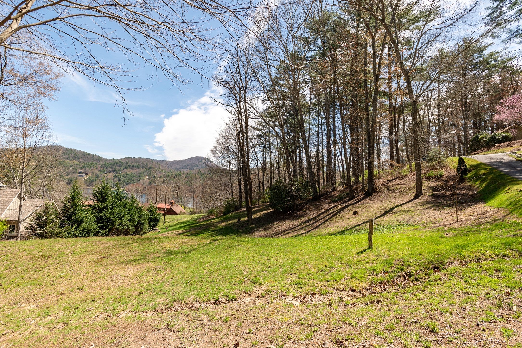 Lot 4 Lot Road Cullowhee, NC 28723 - Photo 11 of 21 Gallery Image 11