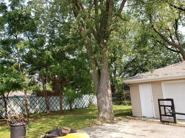 a view of a yard in front of a house with large tree