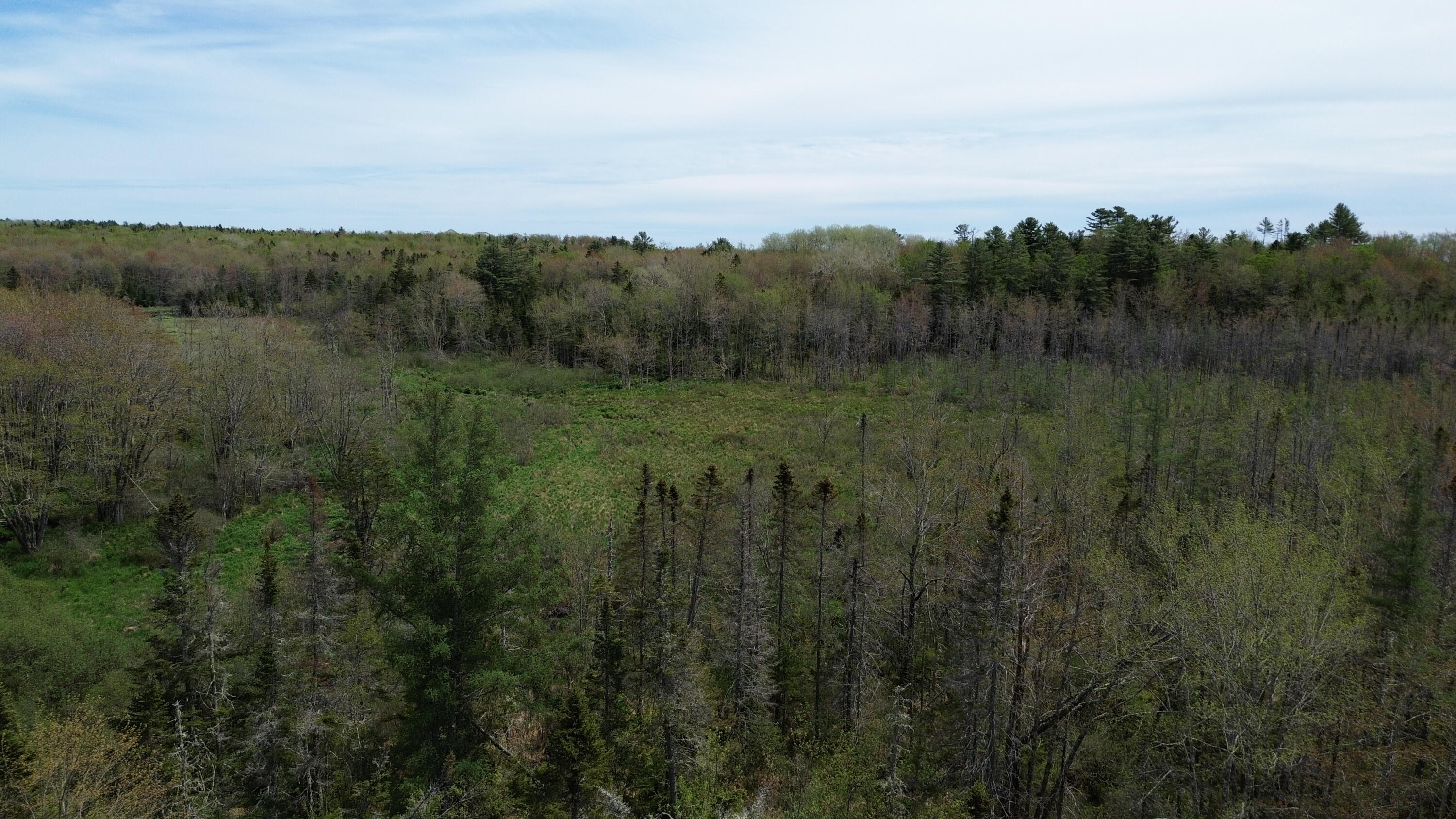 365 Cushing Road Cushing, ME 04563 - Photo 18 of 32 19