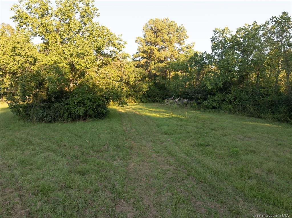 460 Tyler Road Oakdale, LA 71463 - Photo 15 of 49 Gallery Image 15