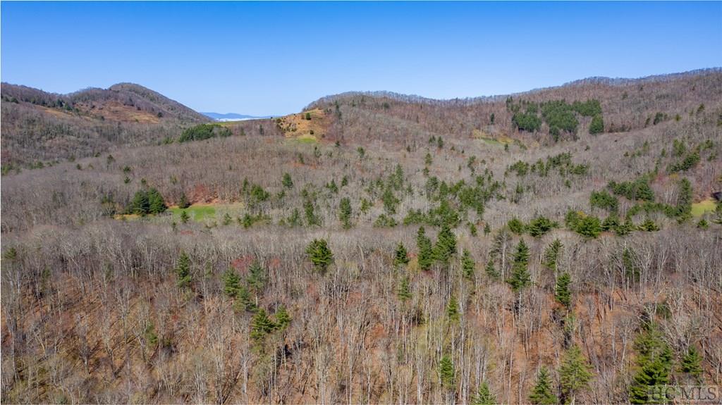 0 Salt Rock Road Highlands, NC 28741 - Photo 11 of 21 Gallery Image 11