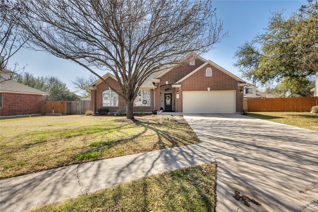a house that has a tree in front of it