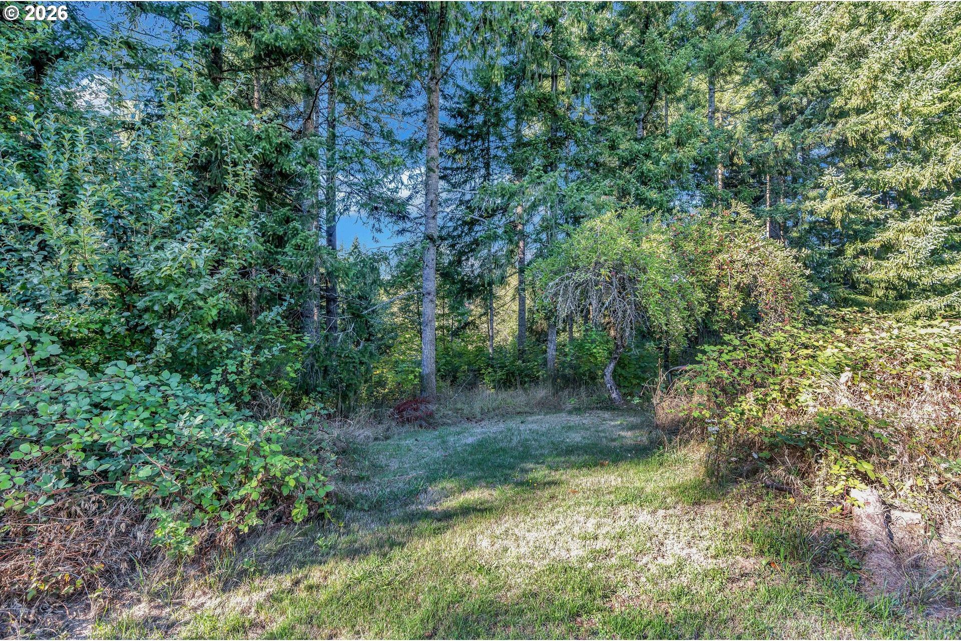 24051 South Upper Highland Road Colton, OR 97017 - Photo 45 of 48 Gallery Image 45