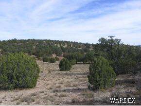 25 Antelope Valley Ranch Seligman, AZ 86337 - Photo 1 of 12 Primary Photo