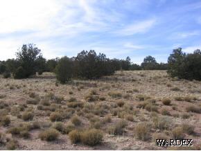 25 Antelope Valley Ranch Seligman, AZ 86337 - Photo 12 of 12 Additional Photo