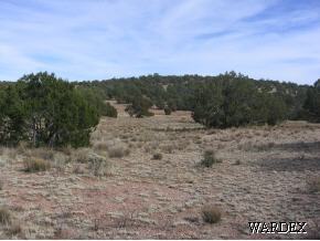 25 Antelope Valley Ranch Seligman, AZ 86337 - Photo 3 of 12 Additional Photo