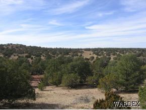 25 Antelope Valley Ranch Seligman, AZ 86337 - Photo 9 of 12 Additional Photo