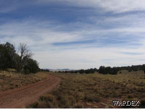 25 Antelope Valley Ranch Seligman, AZ 86337 - Photo 10 of 12 Additional Photo
