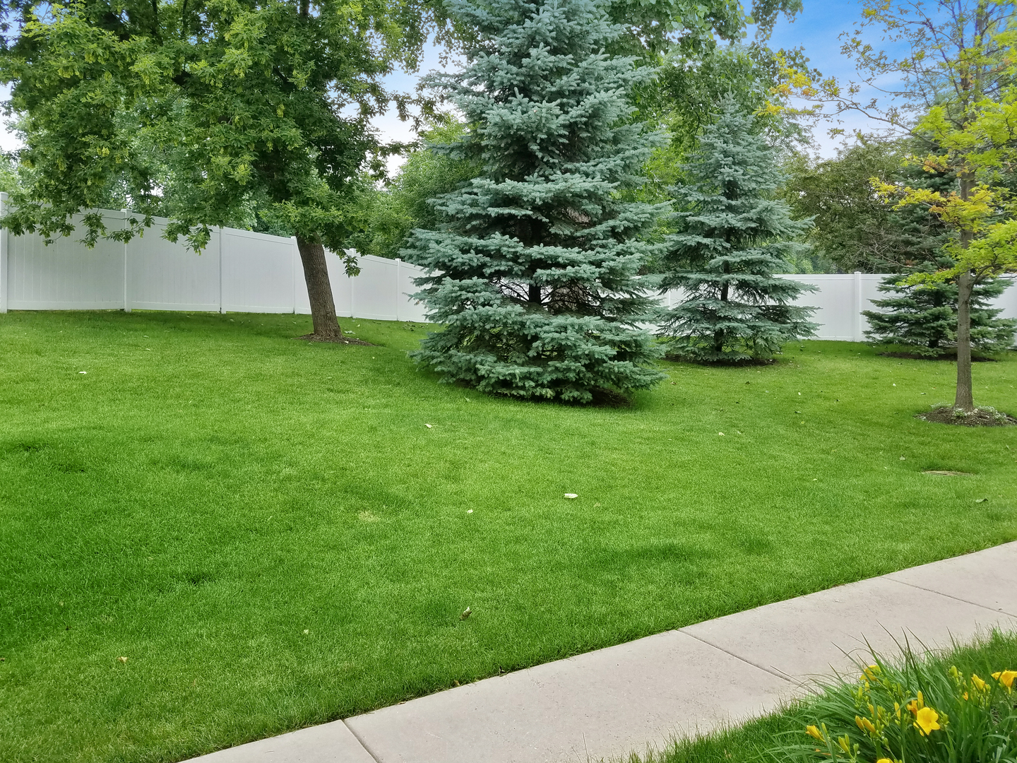 1023 Neudearborn Lane Naperville, IL 60563 - Photo 2 of 19