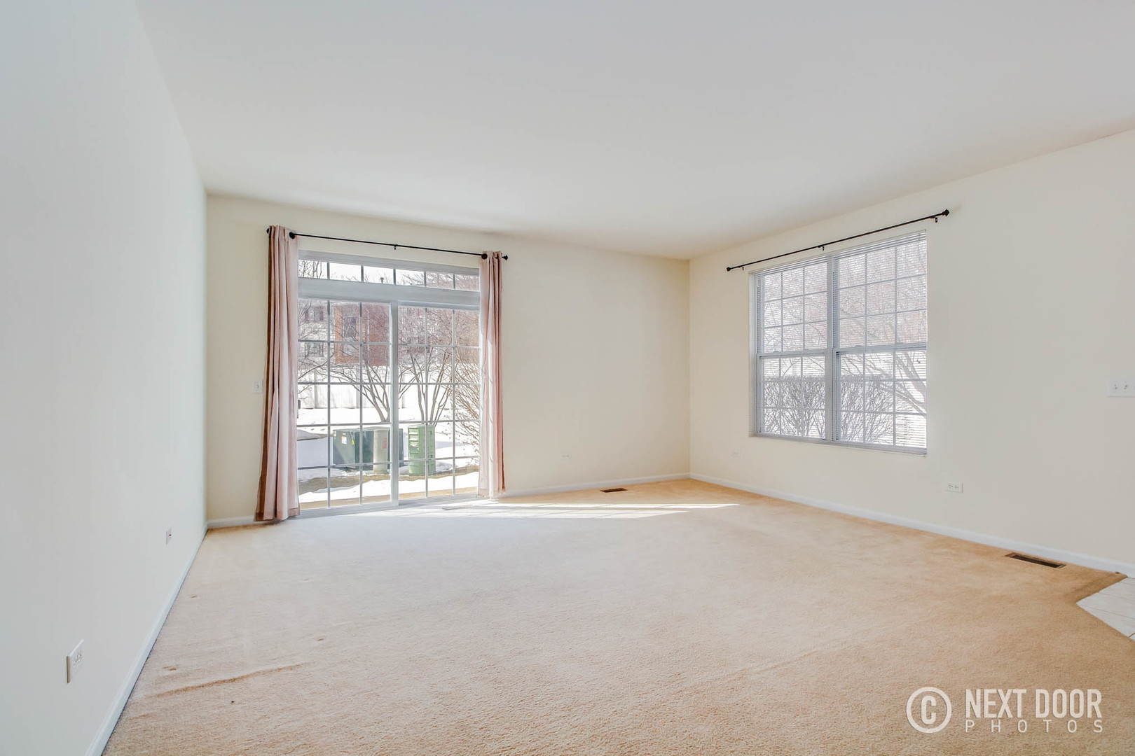 1023 Neudearborn Lane Naperville, IL 60563 - Photo 3 of 19