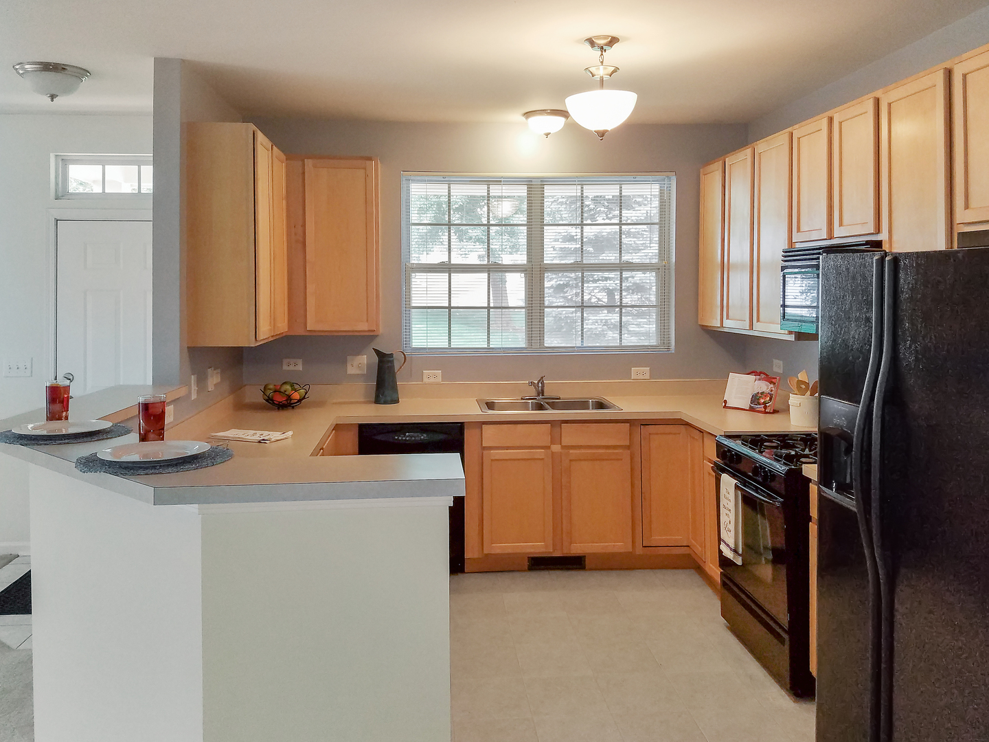 1023 Neudearborn Lane Naperville, IL 60563 - Photo 4 of 19