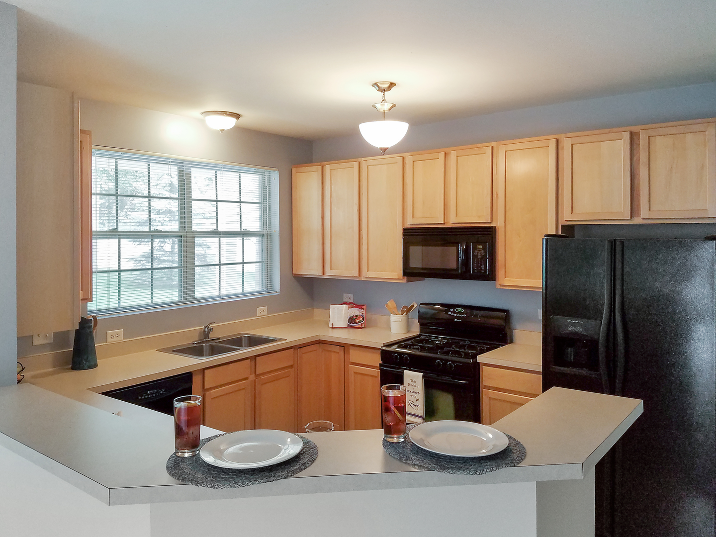 1023 Neudearborn Lane Naperville, IL 60563 - Photo 5 of 19