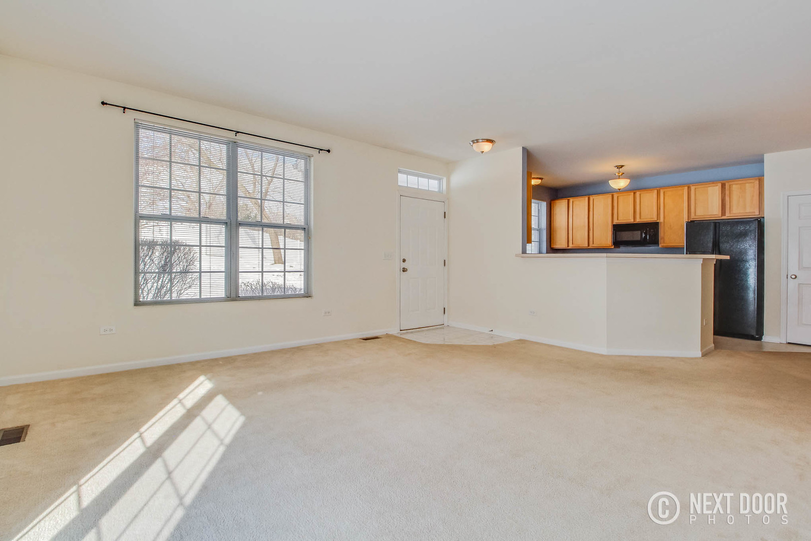 1023 Neudearborn Lane Naperville, IL 60563 - Photo 6 of 19