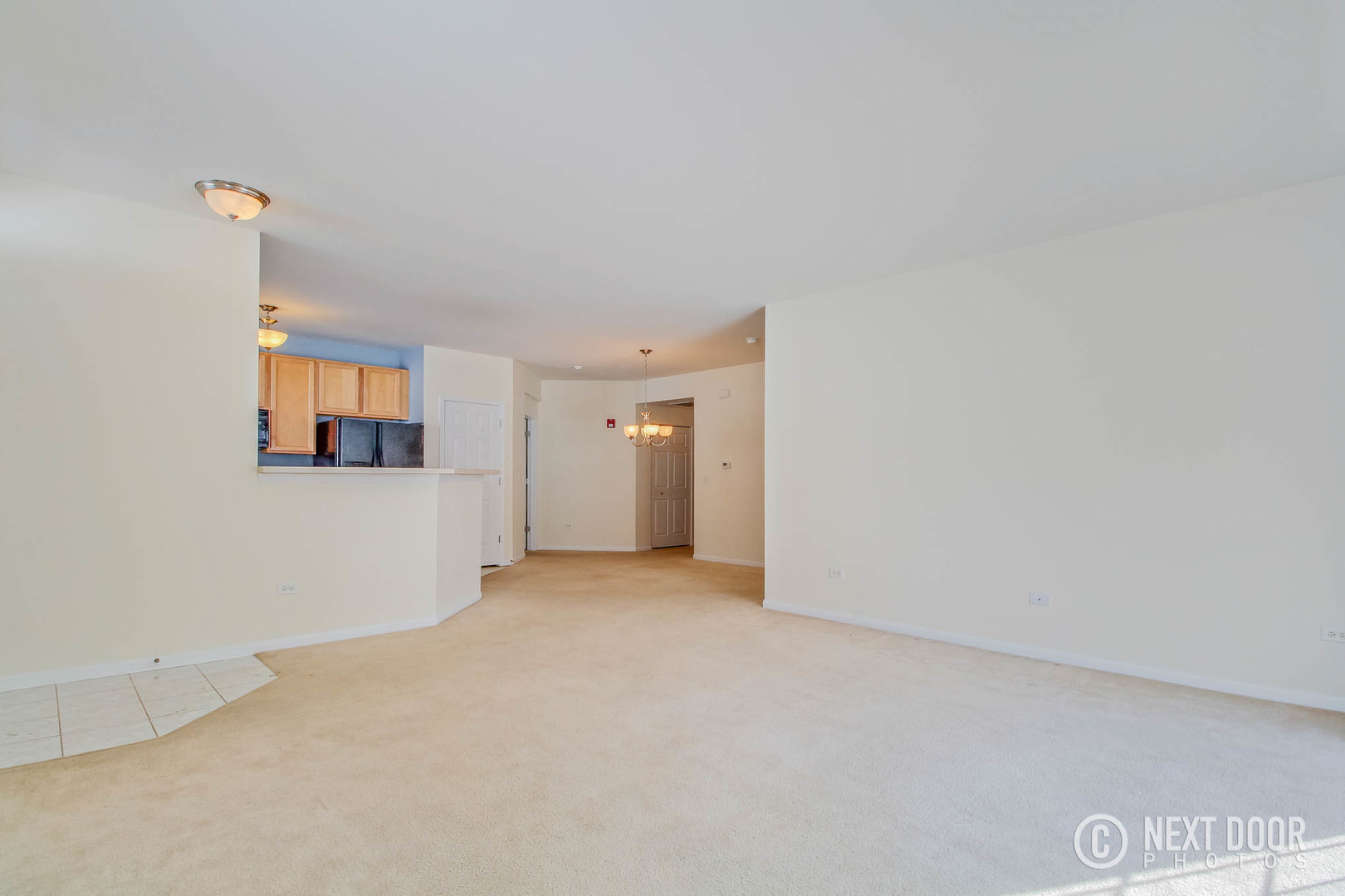 1023 Neudearborn Lane Naperville, IL 60563 - Photo 7 of 19